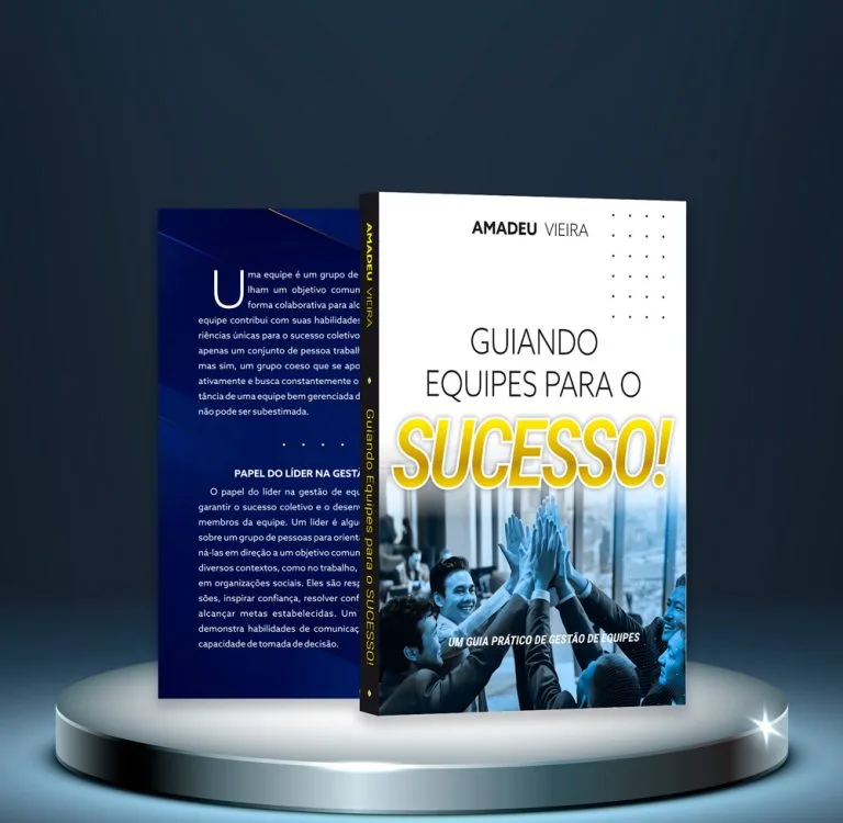 Capa Livro - Guiando para o sucesso